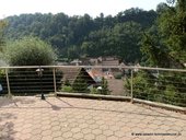 p8120123.jpg